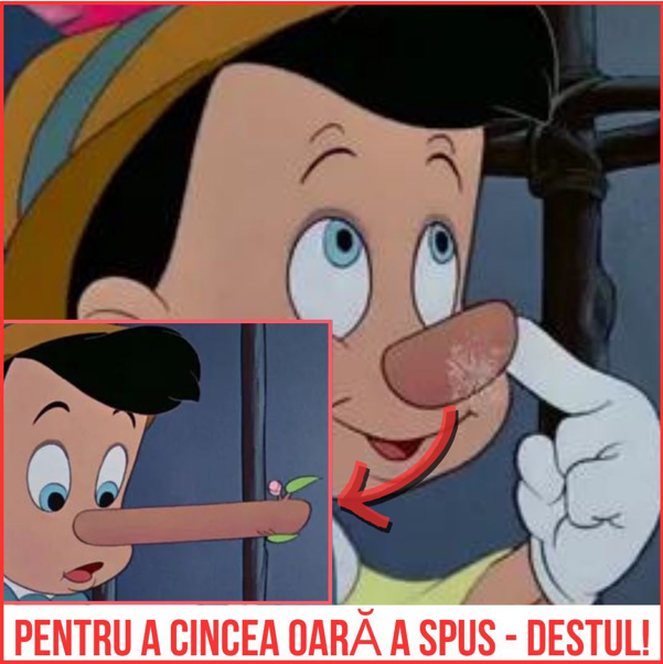 1702356605443