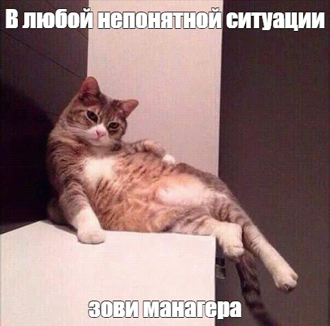 1705344695377