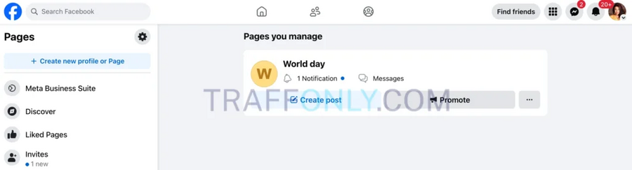 1745396559591