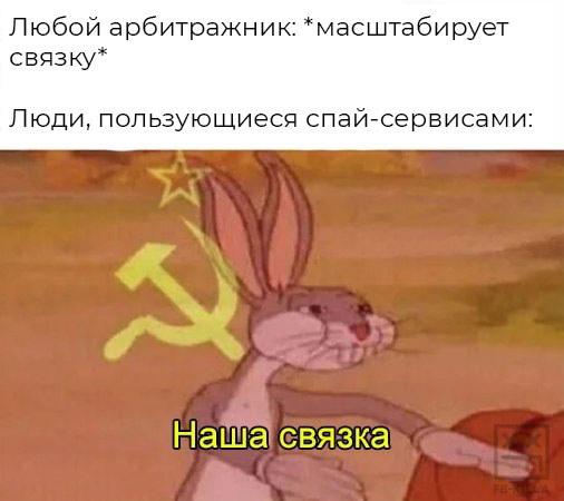 ZfqZln8ZIbo 