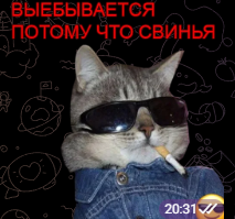 Svinya.png