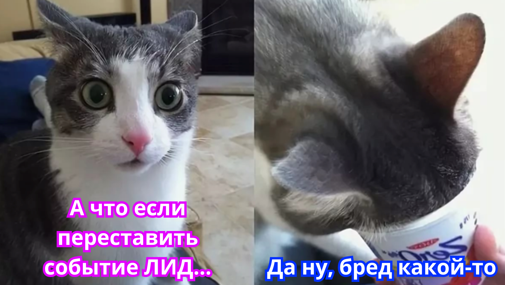 d669a3d443a0940e25bd2.png